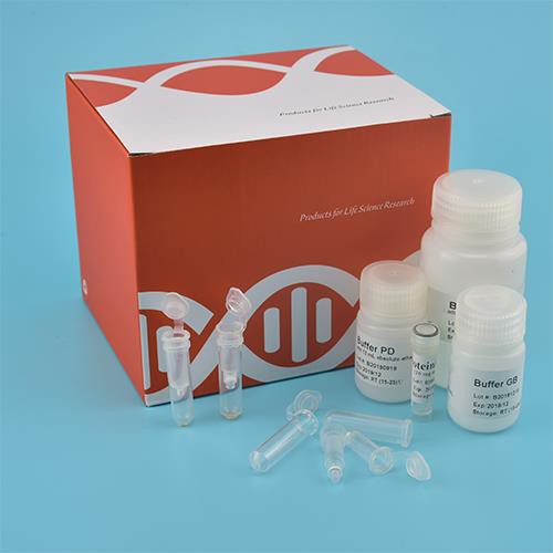 Kit DNA Genomik Pantas (Luas Spin)