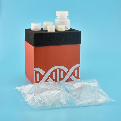 Saliva Kit DNA Genomic (Spin Column)