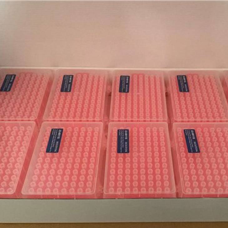 Petua Pipet 10ul Ditapis, Lebih panjang, Jelas, Steril, Rak