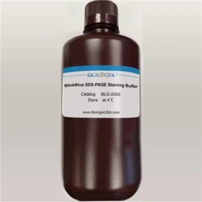 Penggunaan Ulang Sehingga 3 Kali Biologix BlinkBlu Protein Stain Buffer Hanya 10 Minit